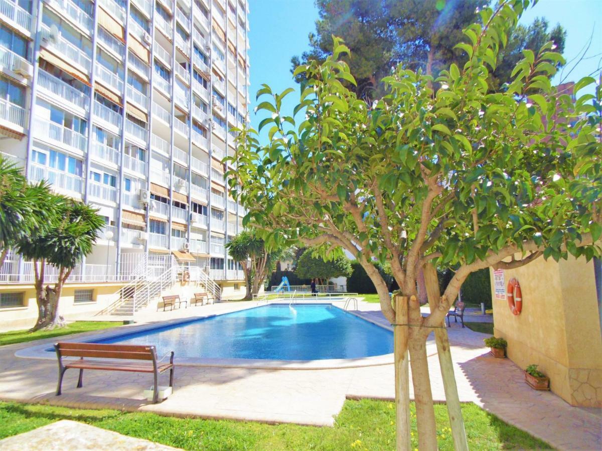 Albatros 17-5 Benidorm Exterior foto